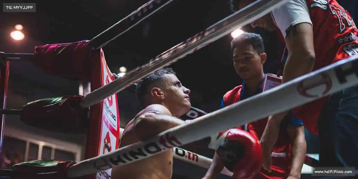 九游娱乐中国官网——🚲单车竞速,踏频如风!